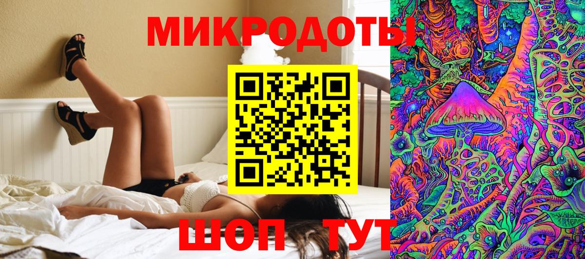 Псилоцибиновые грибы Cubensis Белово